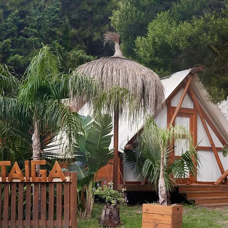 Camping Taiga Punta Paloma *