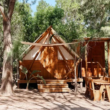 Taiga Punta Paloma