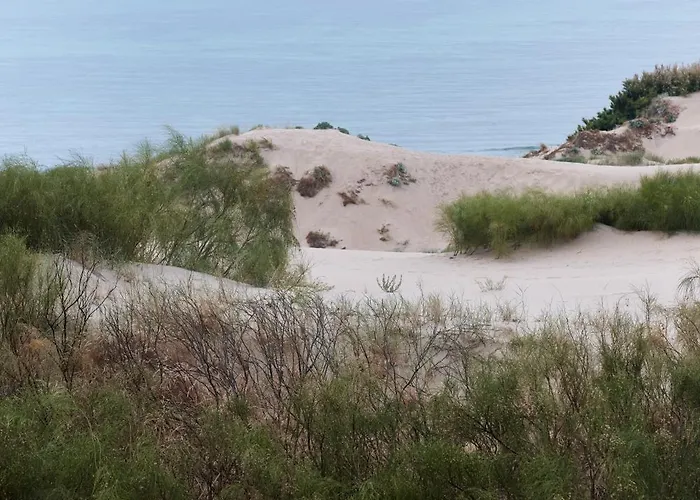 Taiga Punta Paloma Kemping *