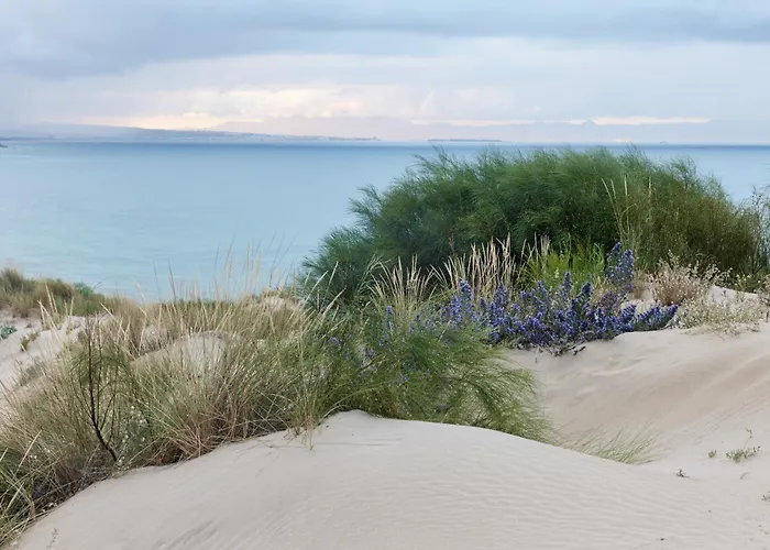 Taiga Punta Paloma Kemping Tarifa