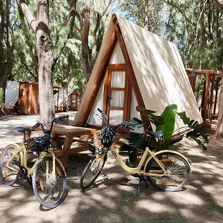 Camping Taiga Punta Paloma